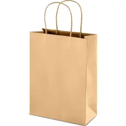 Altitude Memento Midi Paper Gift Bag Unbranded